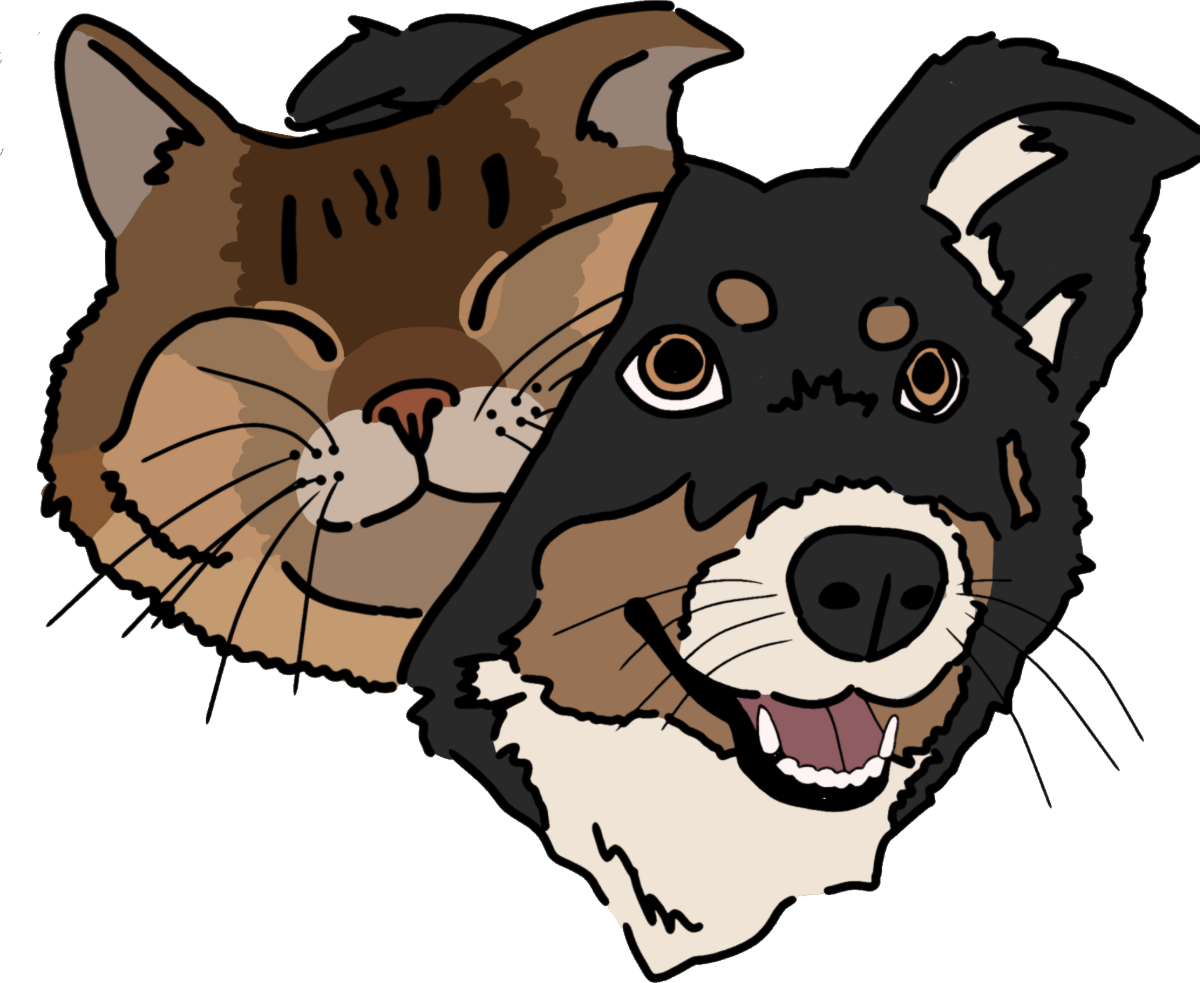 Un gatito y un perrito juntos, el logo de Blussi